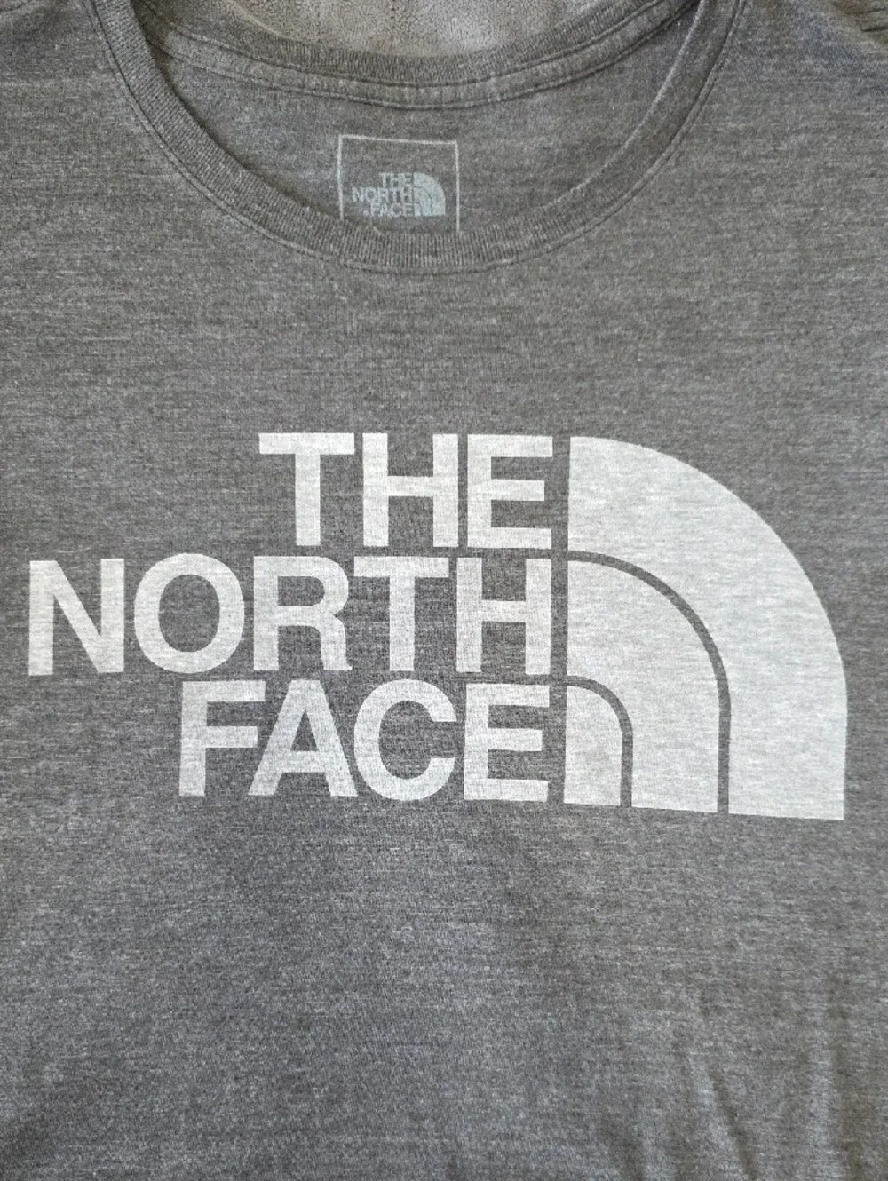 The North Face classic short